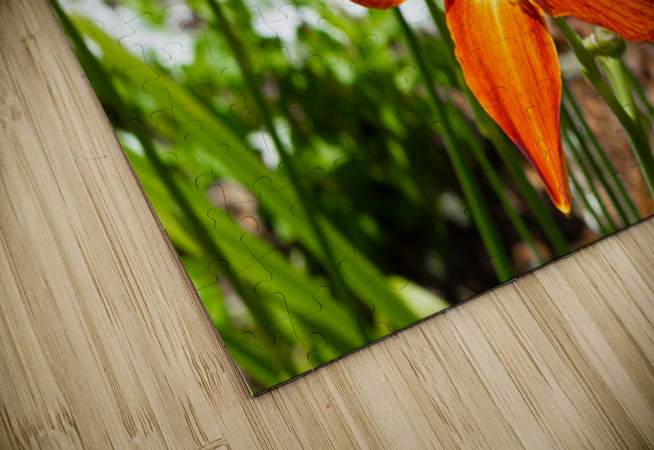 Ember Bloom Henley Lens Puzzle