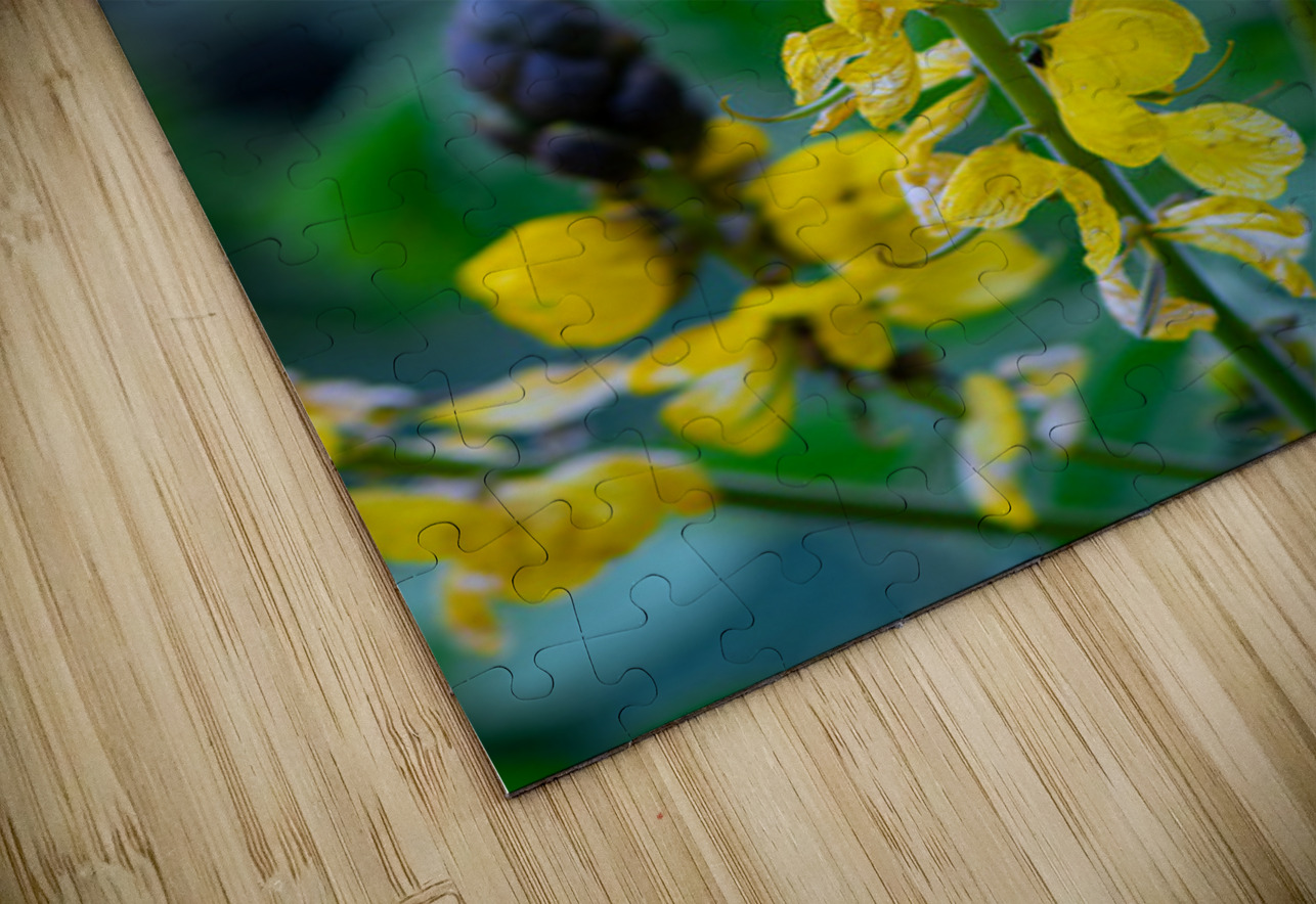 Whispers of Bloom and Light Henley Lens Puzzle