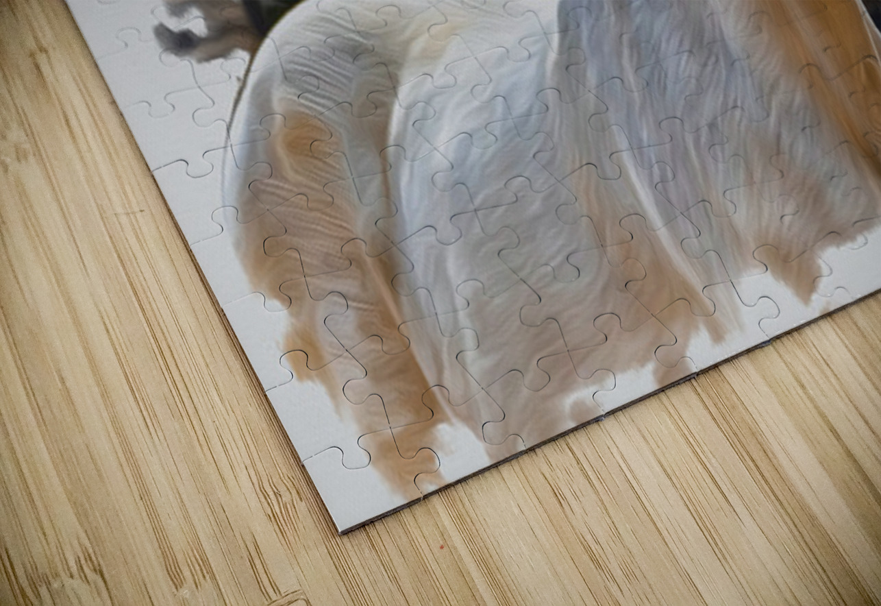 Keeper of Quiet Light Henley Lens Puzzle