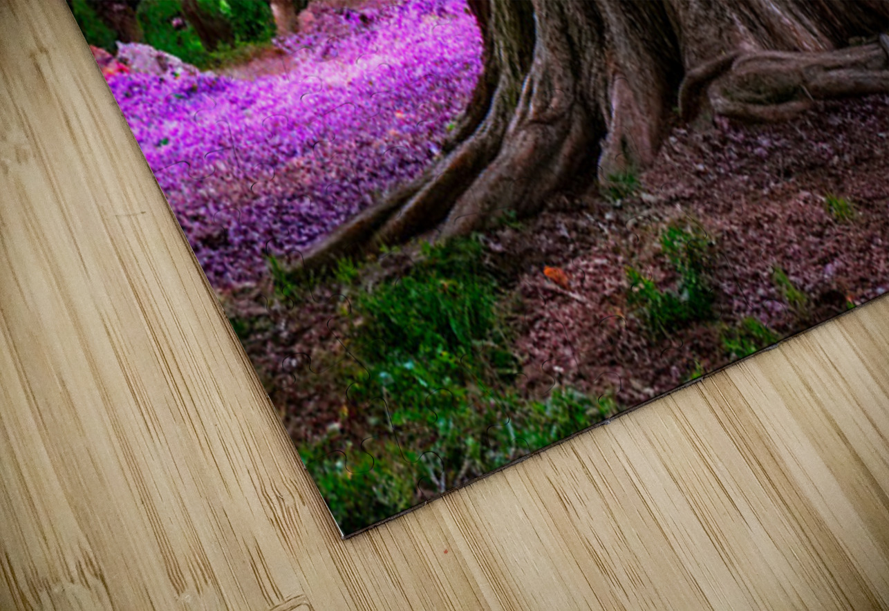 Majestic Roots Henley Lens Puzzle