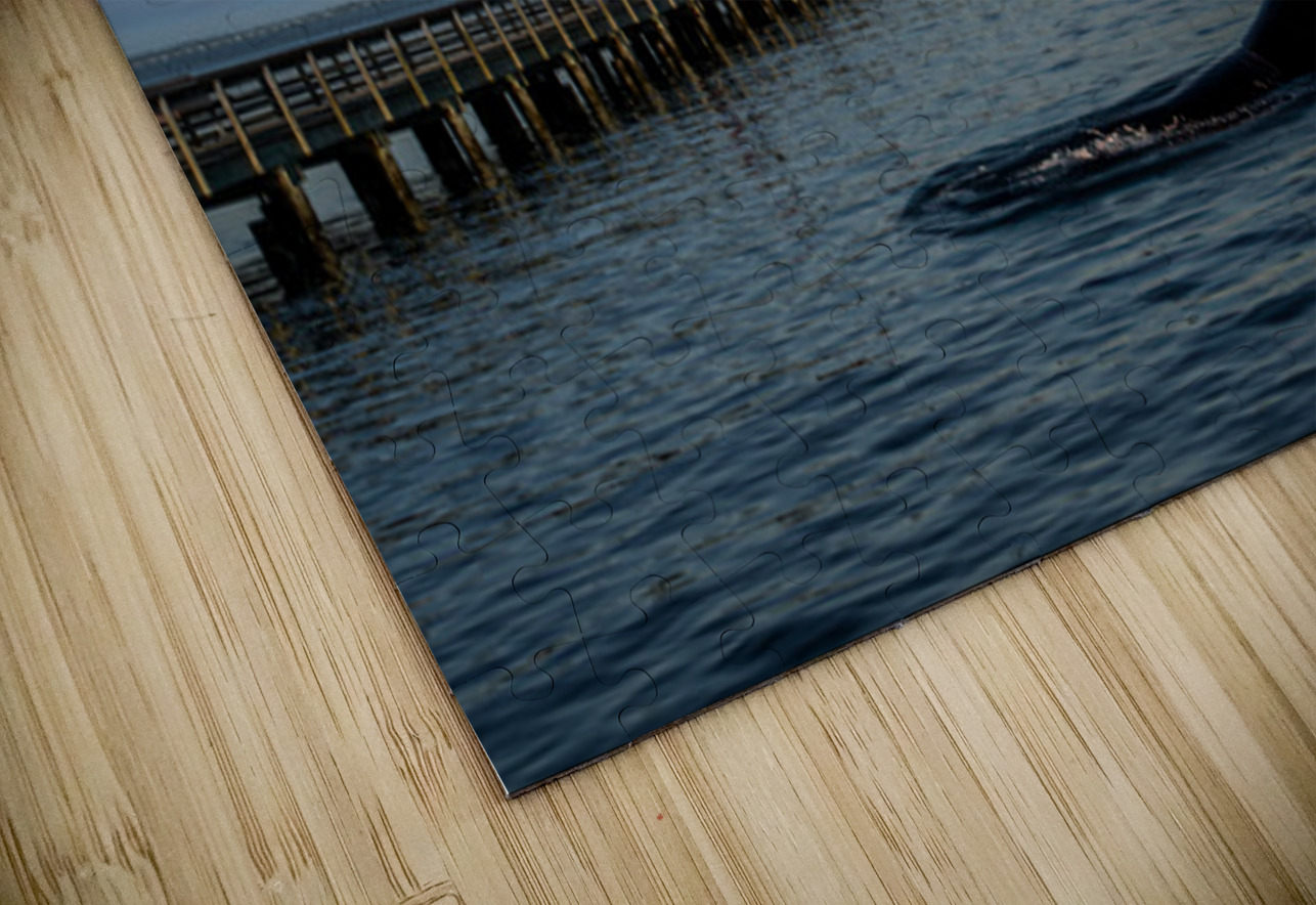 Serenity Interrupted Henley Lens Puzzle