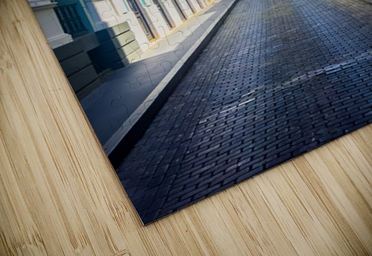 Where Color Walks in Silence Henley Lens Puzzle