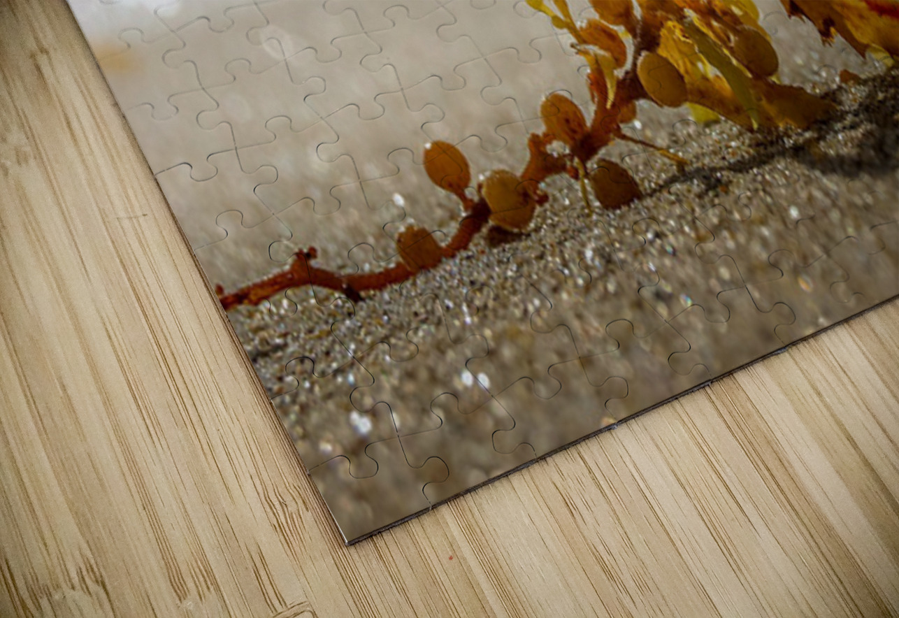 Tethered Light Henley Lens Puzzle