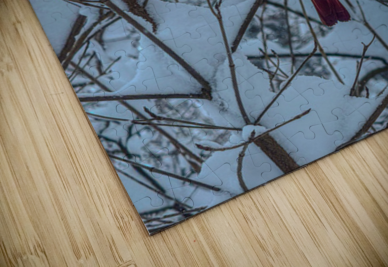 Cardinal in Winter Henley Lens Puzzle