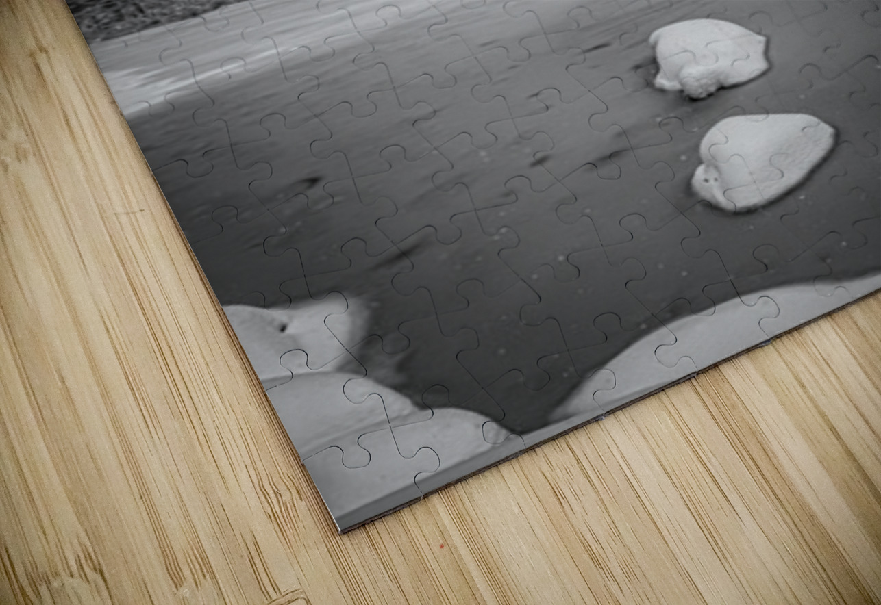 After the storm Henley Lens Puzzle