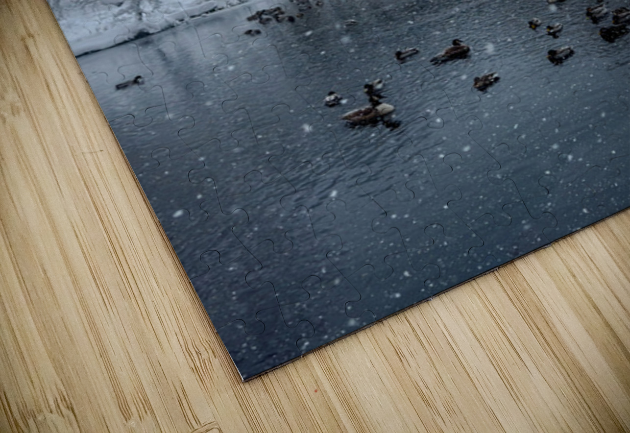 Stillness Beneath the Winter Bridge Henley Lens Puzzle