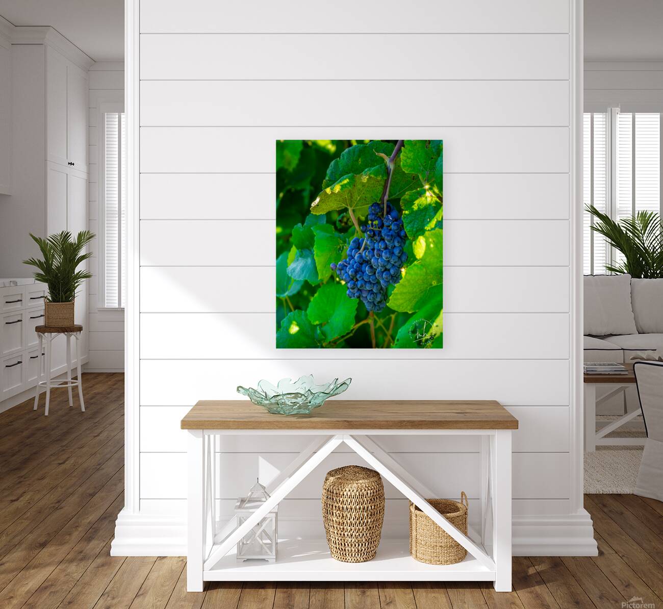 Moscato Reproduction